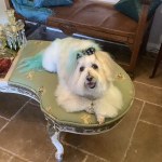 View Gallery Image #3