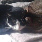 View Gallery Image #3