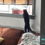 View Gallery Image #4