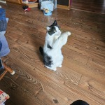 View Gallery Image #1