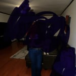 View Gallery Image #4