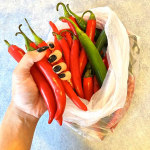 View Gallery Image #8