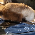 View Gallery Image #3