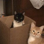 View Gallery Image #9