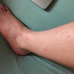 View Gallery Image #9