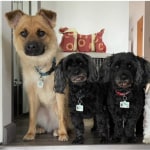 View Gallery Image #7