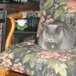 View Gallery Image #1