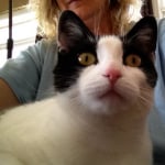 View Gallery Image #6