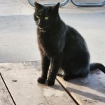 View Gallery Image #14