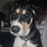 View Gallery Image #4