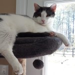 View Gallery Image #15