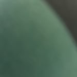 View Gallery Image #11