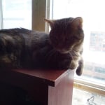 View Gallery Image #14