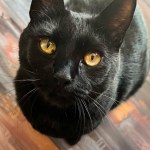 View Gallery Image #4