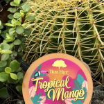 View Gallery Image #1