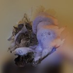 View Gallery Image #14