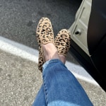 View Gallery Image #5