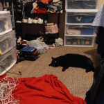 View Gallery Image #3