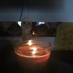 View Gallery Image #4