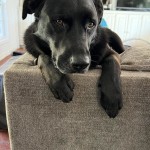 View Gallery Image #7