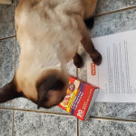 View Gallery Image #10