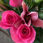 pink rose♡ pink_drift.png?v=1744045044&