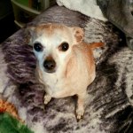 View Gallery Image #2