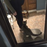 View Gallery Image #2