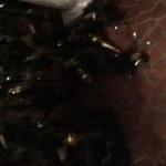 View Gallery Image #5