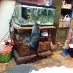 View Gallery Image #6