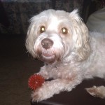 View Gallery Image #13