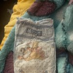 View Gallery Image #12