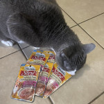 View Gallery Image #8