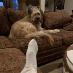 View Gallery Image #9