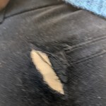 View Gallery Image #1