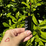 View Gallery Image #2