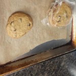 View Gallery Image #10