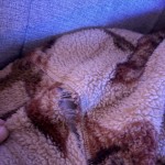 View Gallery Image #2