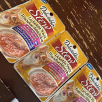 View Gallery Image #11