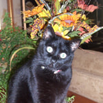 View Gallery Image #1