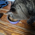 View Gallery Image #6