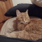 View Gallery Image #12