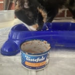 View Gallery Image #10