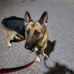 View Gallery Image #7