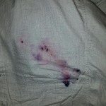 View Gallery Image #13