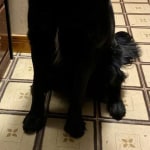 View Gallery Image #5