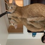 View Gallery Image #7