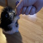 View Gallery Image #15