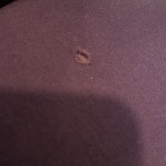 View Gallery Image #15