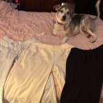 View Gallery Image #15